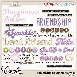 Friendship Never Melts Away-Word art