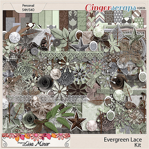 Evergreen Lace from Designs by Lisa Minor