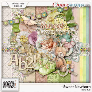 Sweet Newborn Mini Kit by Aimee Harrison