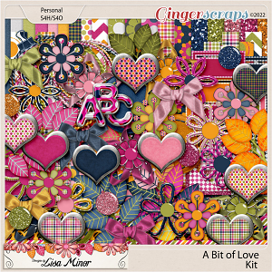 A Bit of Love from Designs by Lisa Minor
