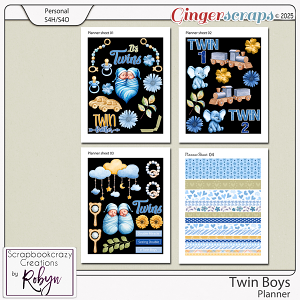 Twin Boys Planner by Scrapbookcrazy Creations