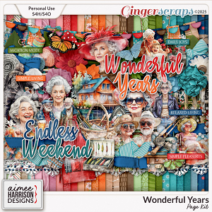 Wonderful Years Page Kit by Aimee Harrison