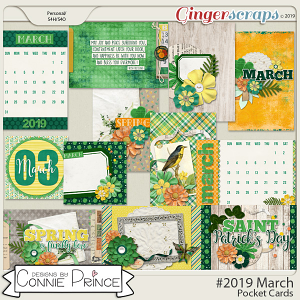#2019 March - Pocket Cards by Connie Prince