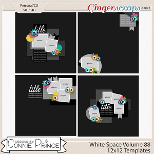 White Space Volume 88 - 12x12 Temps (CU Ok) by Connie Prince