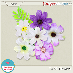 CU 59 - Flowers