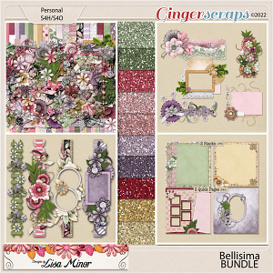 Bellisima BUNDLE from Designs by Lisa Minor