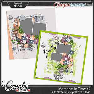 Moments In Time-Template vol 2 Moments In Time-Template vol 2