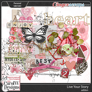 Live Your Story Addon