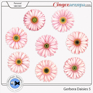 Gerbera Daisies 5 by Wetfish Designs Gerbera Daisies 5 by Wetfish Designs