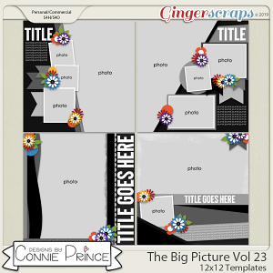 The Big Picture Volume 23 - 12x12 Temps (CU Ok) by Connie Prince