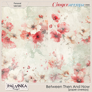 Between Then And Now Paper Overlays by Palvinka Designs