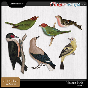 Vintage Birds CU by J. Conlon and Sons