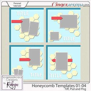 Honeycomb Templates 01-04 by Scrapbookcrazy Creations