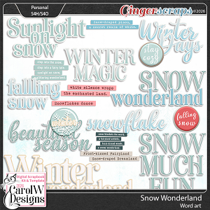 Snow Wonderland-Word art