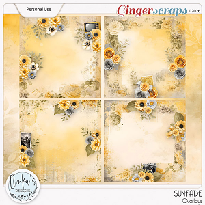 Sunfade Overlays by Ilonka's Designs