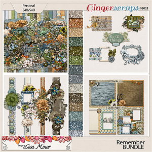 Remember BUNDLE from Designs by Lisa Minor