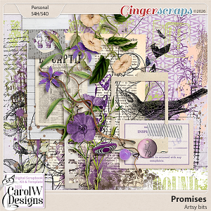 Promises-Artsy bits