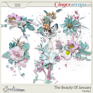 The Beauty Of January-Clusters