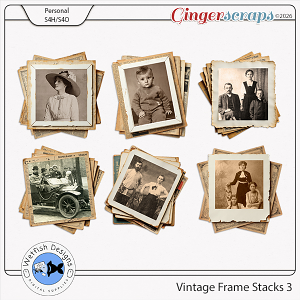 Vintage Frame Stacks 3 by Wetfish Designs 