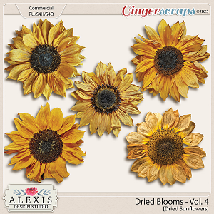 CU - Dried Blooms Vol. 4