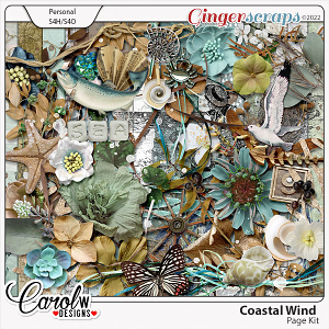 Coastal Wind-Page Kit