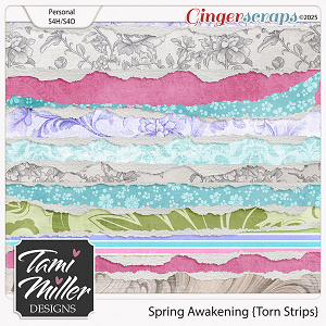 Spring Awakening Torn Strips by Tami Miller Designs