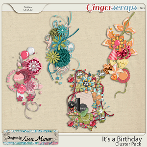 It's a Birthday Cluster Pack from Designs by Lisa Minor