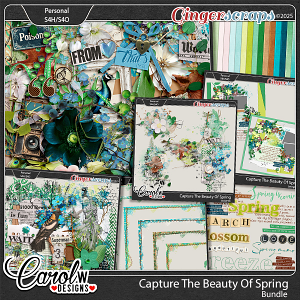 Capture the beauty of spring-Bundle