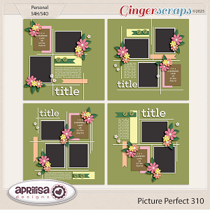Picture Perfect 310 by Aprilisa Designs