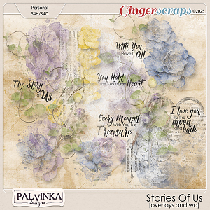 Stories Of Us Overlays and WA by Palvinka Designs