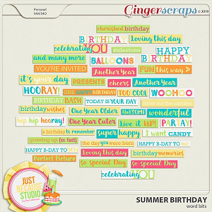 Summer Birthday Word Bits by JB Studio
