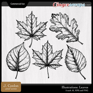 Illustrations: Autumn Leaves CU by J. Conlon and Sons