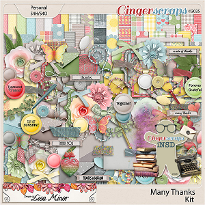 Many Thanks from Designs by Lisa Minor