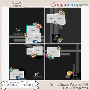 White Space Volume 114 - 12x12 Temps (CU Ok) by Connie Prince