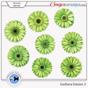 Gerbera Daisies 3 by Wetfish Designs Gerbera Daisies 3 by Wetfish Designs