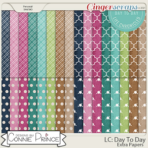 Life Chronicled: Day To Day - Extra Papers by Connie Prince