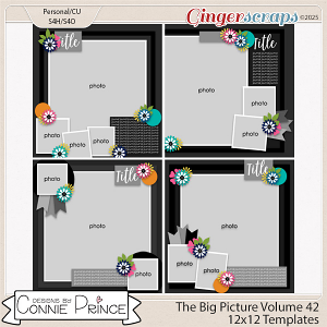 The Big Picture Volume 42 - 12x12 Temps (CU Ok) by Connie Prince