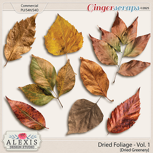 CU - Dried Foliage Vol. 1