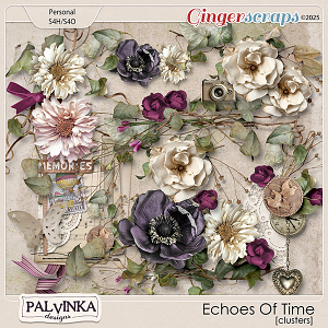 Echoes Of Time Clusters by Palvinka Designs