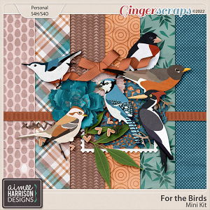 For the Birds Mini Kit by Aimee Harrison