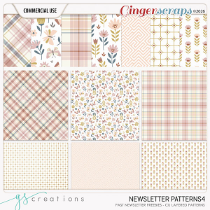 Newsletter Layered Patterns4 (CU)