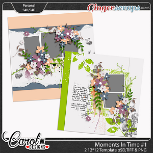 Moments In Time-Template vol 1 Moments In Time-Template vol 1
