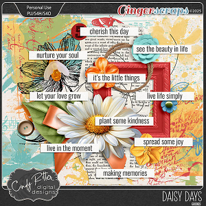 Daisy Days [Goodies] by Cindy Ritter