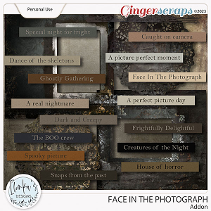 Face In The Photograph Addon by Ilonka's Designs