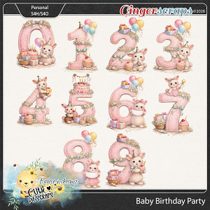 Baby Birthday Party Numbers