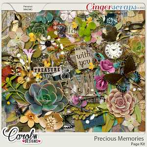 Precious Memories-Page Kit