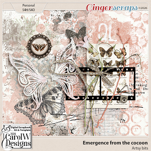 Emergence from the cocoon-Artsy bits