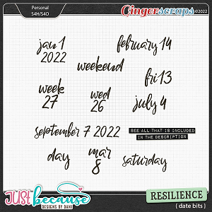Resilience Date Bits by JB Studio