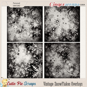 Vintage SnowFlakes Overlays-02 Vintage SnowFlakes Overlays-02