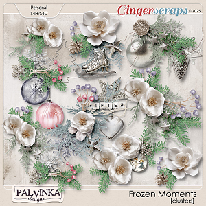 Frozen Moments Clusters by Palvinka Designs